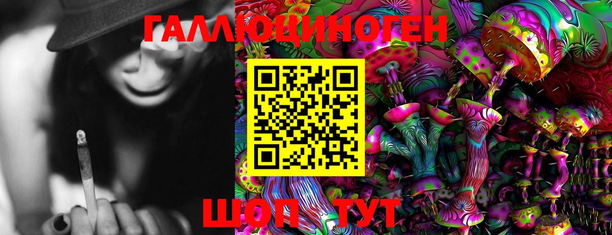 Галлюциногенные грибы Cubensis Пугачёв